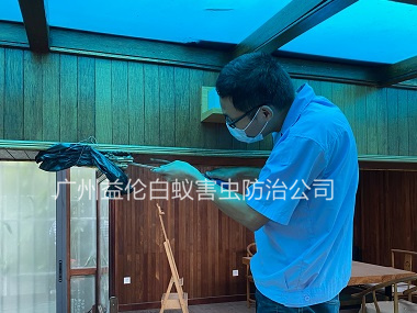 海珠區(qū)上門(mén)治白蟻危害