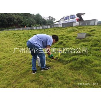 廣州堤壩有害蟻類(lèi)防控
