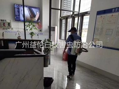 從化室內(nèi)消殺蚊蟲工程