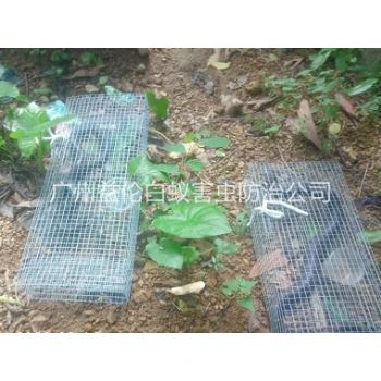 海珠上門驅蛇防蛇工程