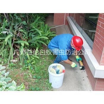 番禺施藥滅鼠工程